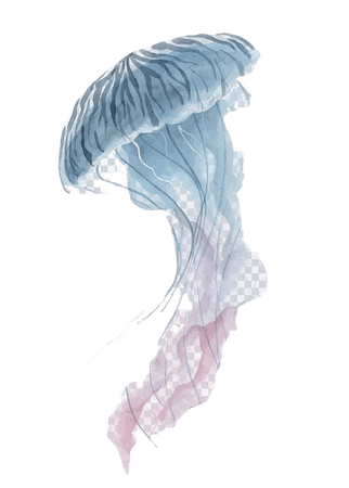Jellyfish Watercolor painting, jellyfish, gray jelly fish illustration PNG clipart | free cliparts | UIHere
