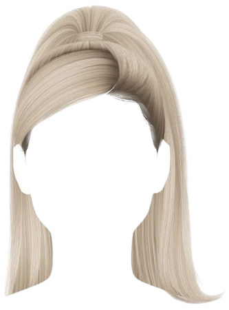 blonde hair ponytail