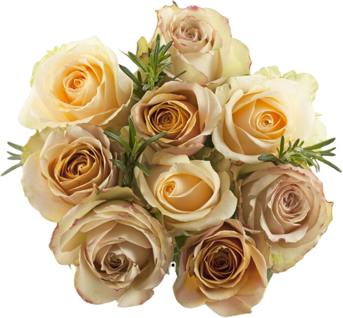 gold cream rose bouquet
