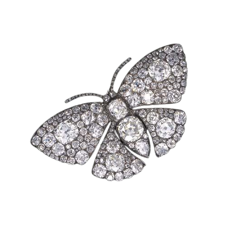 silver butterfly