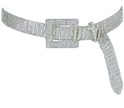 diamond sparkly belt