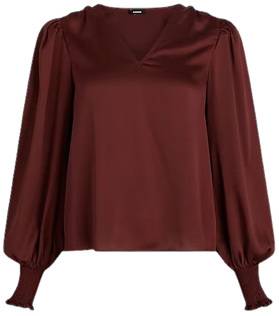 V-neck Long Sleeve Smocked Cuff Top | Express