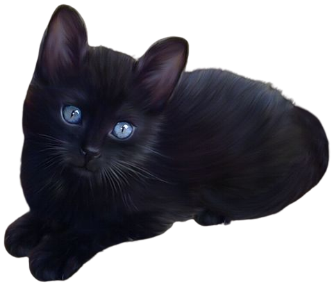 black cat png - Google-Suche
