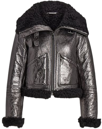 Etienette Metallic Shearling Jacket
