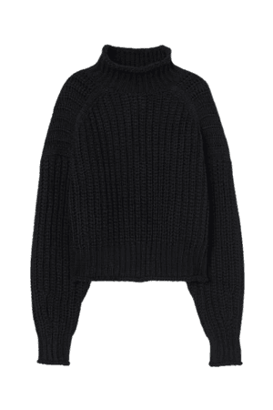 Ribbed Turtleneck Sweater - Black - Ladies | H&M US