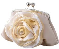 Amazon.com: Women Floral Clutch Purses Wedding Flower Evening Handbag with Detachable Chain Strap Party Prom Bags (Champagne) : Clothing, Shoes & Jewelry