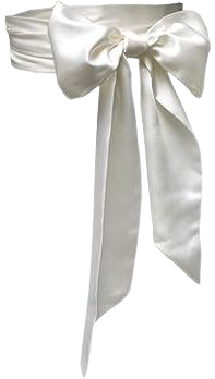NANIA Wedding satin sash belt for special occasion dress bridal sash (Ivory) at Amazon Women’s Clothing store