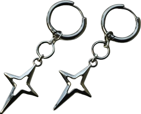 twinkle silver earrings