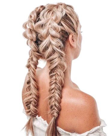 blonde Dutch fishtail braids