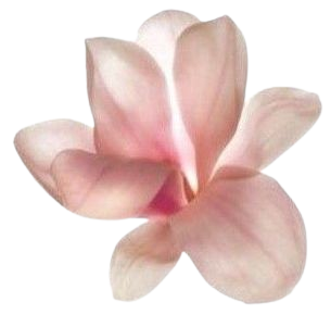 pink flower filler