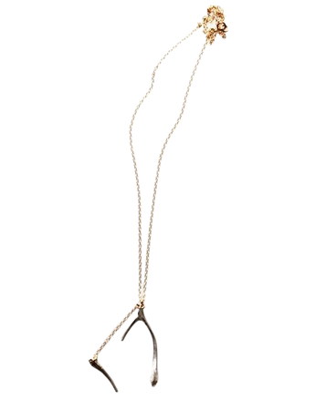 wishbone necklace