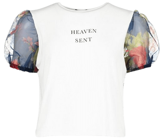 Floral Organza Sleeve Slogan T-Shirt | Boohoo UK