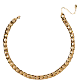 Iris Linked Curb Chain Necklace | francesca's