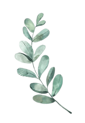 Mint, Hand-painted mint green leaves transparent background PNG clipart | HiClipart
