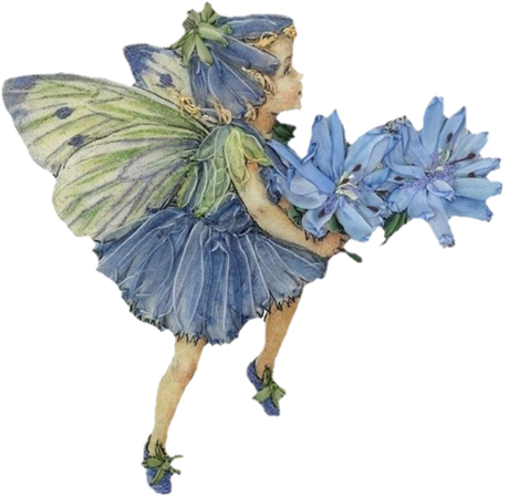 periwinkle fairy child