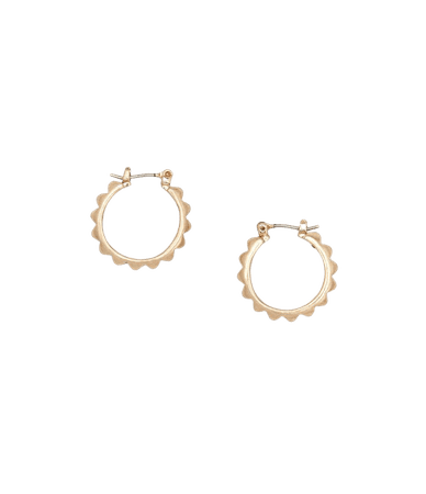 ALLSAINTS US: Womens Miri Small Hoop Earrings (warm_brass)
