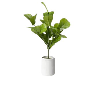 32" X 18" Artificial Fiddle Leaf Plant In Pot - Threshold™ : Target