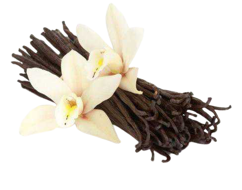Madagascar Bourbon Planifolia Gourmet Vanilla Beans