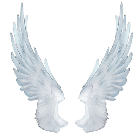 Angel Wings , white wings illustration transparent background PNG clipart | PNGGuru
