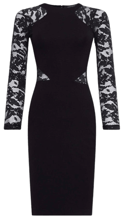 Viven Lace Jersey Mesh Sleeve Dress Black– French Connection US