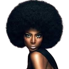 afro 70s - Google Search