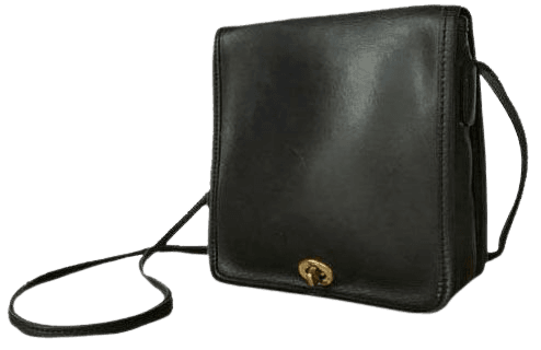 thrifted coach purse