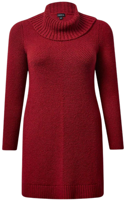 Plus Size - At The Knee Sweater Cowl Neck Dress - Torrid