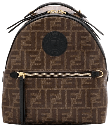 brown backpack bag