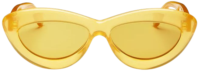Loewe 54mm Cat Eye Sunglasses