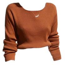 Rust Orange Sweater Shirt