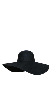 Black Straw Hat