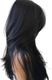 long black layered hair asian - Google Search