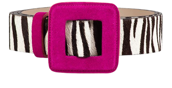 zebra pink - Pesquisa Google