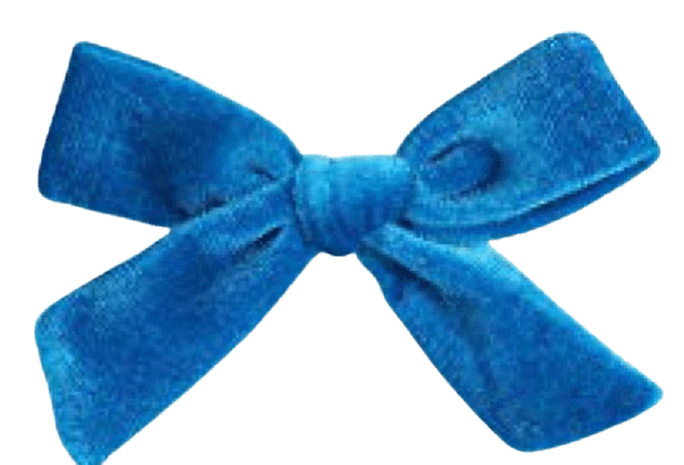 Blue hair bow-amazon