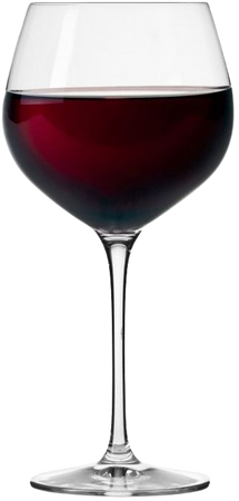 KROSNO Nina Red Wine Glasses 19oz - Set Of 6 : Target
