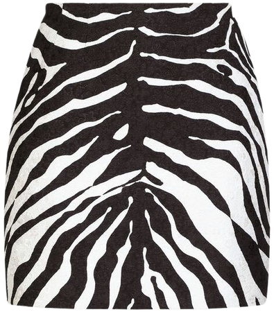 Zebra-print brocade miniskirt in Animal Print for Women | Dolce&Gabbana®