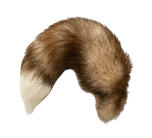 brown fluffy tail - Google Search