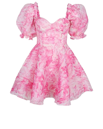 Light Pink Puffy Sleeve Doll Dress