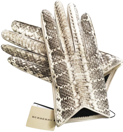 Burberry Snake Gloves
