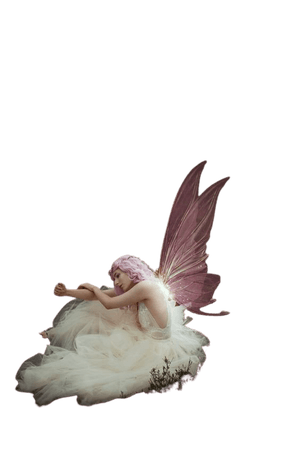 fairy | Tumblr