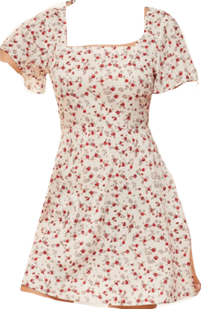 vintage sun dress