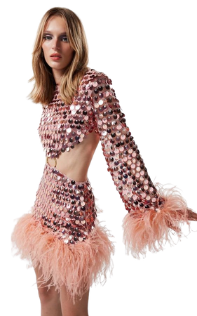 Edie Dress In Rose Pink Sequin With Feathers By New Arrivals | Moda Operandi