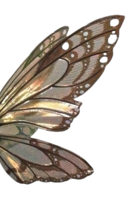Fairy wings brown