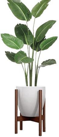 Firlar Wooden Plant Stand,Mid Century Flower Pot Holder Plant Display Potted Rack for Home Living Room Garden Indoor and Outdoor Use (Brown): Amazon.ca: Patio, Lawn & Garden