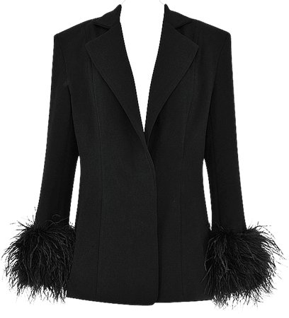 Clothing : Jackets : 'Esme' Black Feather Trimmed Oversized Blazer