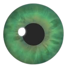 green eyeball - Google Search