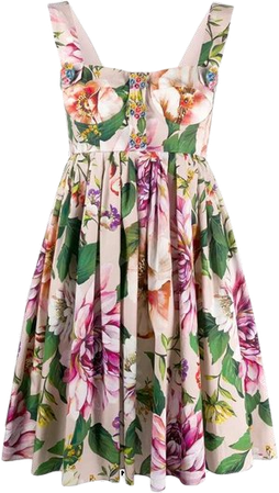 dolce Gabbana bustier poplin floral dress