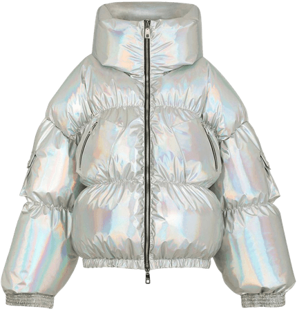 Shop Dolce & Gabbana holographic-effect padded jacket with Express Delivery - FARFETCH
