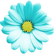 turquoise flower - Google Search