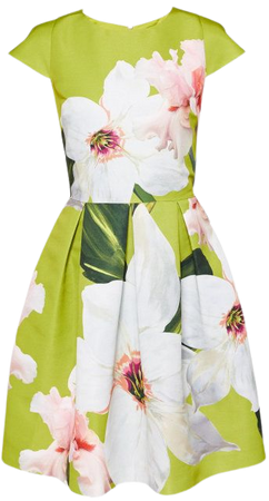 Chatsworth Bloom skater dress - Light Green | Dresses | Ted Baker UK
